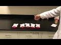 Pink Zebra - Blending Bag Capacity Explained