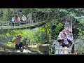 Single mother and ex-husband build bamboo bridge across river for child to go to school. dangthidu 