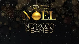 ntokozo mbambo ungefaniswe official audio 