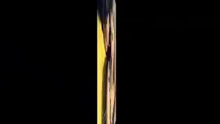 اول مرة احس ان روحي مش قد البعد مصطفي كامل 