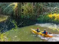 Living in Bothell WA The Ultimate Local Guide Homes com