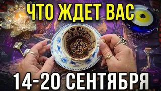 🔥ЧТО ЖДЕТ ВАС с 14 по 20 Сентября🍁❓ ЧТО СЛУЧИТСЯ ПО СУДЬБЕ💯❓Послание на кофейной гуще☕🧿