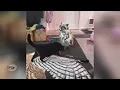 BEST Random Funny s Found On Reddit