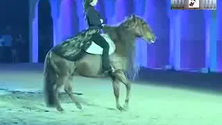 شهاده لله طارق الشيخ صفحة دودو يوتيوب  شهاده لله طارق الشيخ صفحة دودو يوتيوب