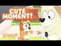 Download Lagu Bingo Learns a Fun Trick! ⭐️ 😯 | Bluey Show and Tell 🧡 | Bingo - Official Channel