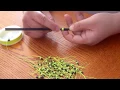 Download Lagu How to make a slip tie for a slip bobber