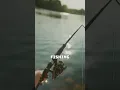 Hidden gem alert