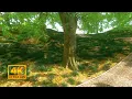 Magic Mushroom Simulation experimental visuals