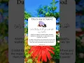 Download Lagu Dua to say in Sujood