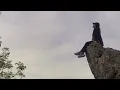 lizzy mcalpine - to the mountains [slowed and reverb]