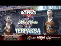 Download Lagu Ageng Music || Terpaksa || Novi Novita || Dhehanpro || WS Krajan Sambongnangi Grobogan