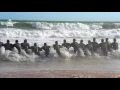 Download Lagu Pakistan Navy National Song | Sada Rehna Pakistan Zindabad | Defence Day | Rahat Fateh Ali Khan