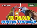 Download Lagu Pamer TEMBAKAN KASAR || RAJA TEMBAKAN PIJANTUNG GUNUNG Vs BESETAN CUCAK JENGGOT