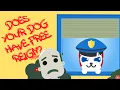 The Importance of Place The Little Red Dog Training Series