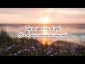Two Sparrows in a Hurricane - Tanya Tucker (Lyric videos)
