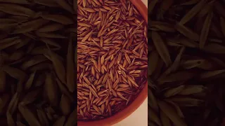 Візит до музею пива у Львові Львіварні у серпні 2024 Beermuseum Beer пиво львів 