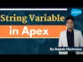 String Variable in Apex By Rajesh Chatterjee