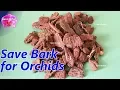 Recycling Bark Chips for repotting Orchid