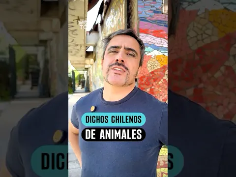 Expresiones animales de los chilenos #humor #comedia