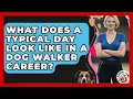 What Does a Typical Day Look Like in a Dog Walker Career - Animal Care Jobs