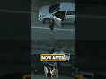 Waka Bae House Burglar Is Insane