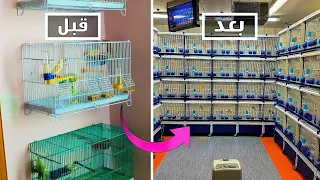 السر الذي يخفيه عنك المحترفون في تربية طيور الكناري 