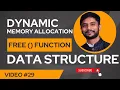 Free Function Dynamic Memory Allocation Data Structure