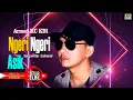 Download Lagu Armed KC KDI - Ngeri Ngeri Asik - Songwriter Lisbandi (Official Music Video)
