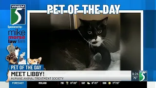 TV5 Pet of the Day Meet Libby