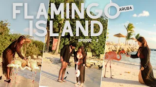 Flamingo Island - Aruba Vlog EP