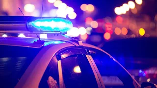 Woman dies after being struck by a vehicle in Dunkirk