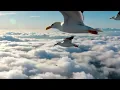 Missing Home? 💭 3-Minute Relaxing Music in Soft Mountain Clouds ☁️