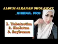 Download Lagu ALBUM SHOLAWAT VERSI JARANAN GLERR GIMBUL PRO