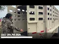 The Best Stock Horse Trailer for Ranchers 2026 Eagle X 7x32 Walkthrough