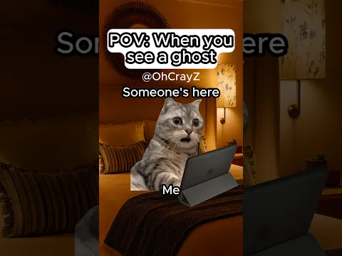 CAT MEMES 🐱 WHEN YOU SEE A GHOST #relatable #cat #funny #family #shorts
