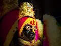 Download Lagu Maatru Stava Mala 🙏 #durga #durgamaa #krishna #shiva #mahadev