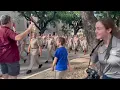 TEXAS A M Fightin Texas Aggie Band - Family Weekend 2024
