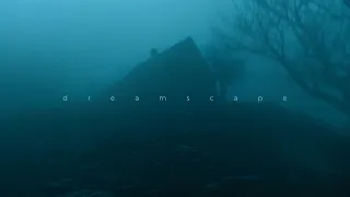 antent - leave me here