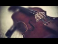 Violin Sonata No. 10 in G major [Op. 96]