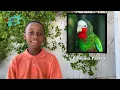 Download Lagu FACT OF THE DAY: Animals of the Bahamas! Goombay Kids!