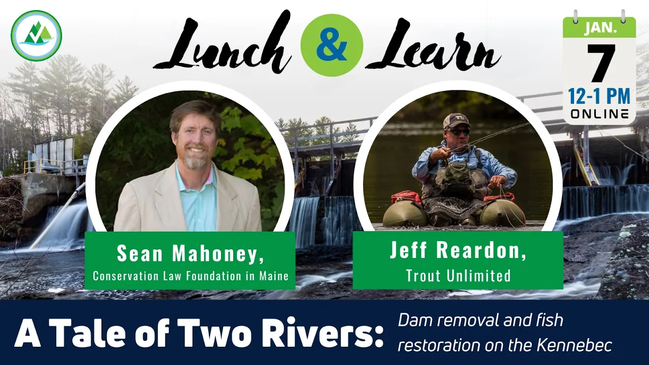 Lunch & Learn: A Tale of Two Rivers | Dam removal and fish restoration on the Kennebec