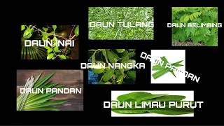 Download AIR MANDIAN DAUN HERBA SERUM | orang tua-tua pesan berhasilBETUL KE! MP3