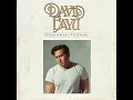 Cincin (Janji Hati) - David Bayu