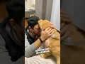 Download Lagu This puppy knew who his new owner was 👏