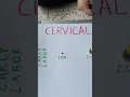 Download Lagu Cervical Dilation during Labor