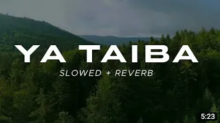 Download YA TAIBA SLOW \u0026 REVERB AYISHA ABDUL BASIT HMMAD SLPW \u0026 REVERB @slowreverbarena MP3