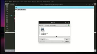Text editor with python PART TWO tkinter tutorial