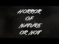 Horror of nature or not..A rare snake in the Netherlands (Een zeldzame slang in Nederland)