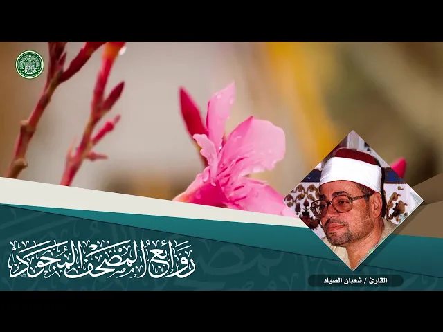 ⁣القارئ | شعبان الصيّاد