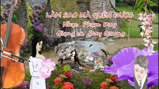 Giọng ca Duy Quang